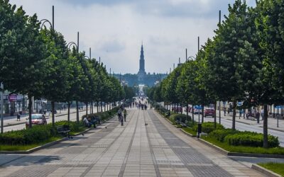 Wynajem zwyżki Częstochowa